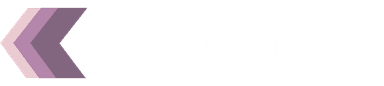 CYBEMY